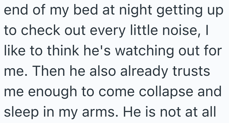 end of my bed at night getting up to check out every little noise, I like to think he's watching out for me. Then he also already trusts me enough to come collapse and sleep in my arms. He is not at all