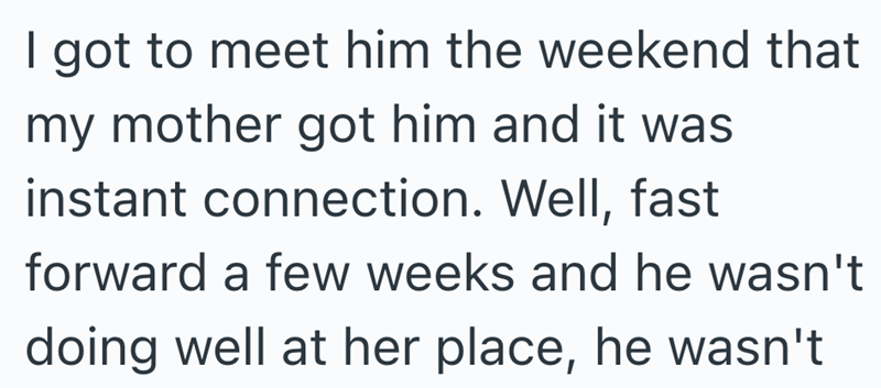 I got to meet him the weekend that my mother got him and it was instant connection. Well, fast forward a few weeks and he wasn't doing well at her place, he wasn't