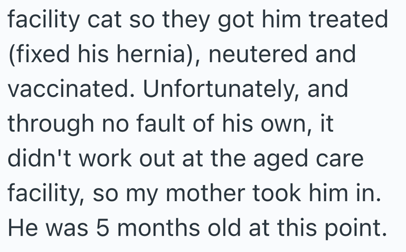 facility cat so they got him treated (fixed his hernia), neutered and vaccinated. Unfortunately, and through no fault of his own, it didn't work out at the aged care facility, so my mother took him in. He was 5 months old at this point.