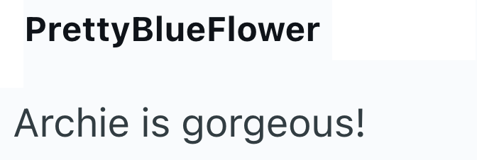PrettyBlueFlower Archie is gorgeous!