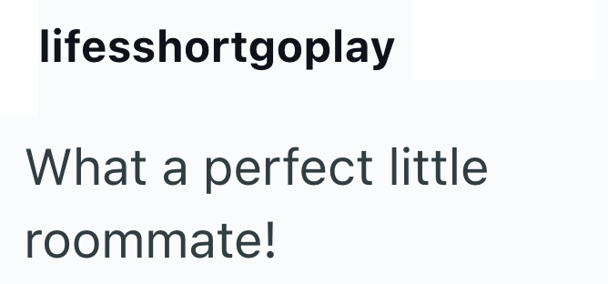 lifesshortgoplay What a perfect little roommate!