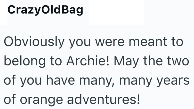 CrazyOldBag Obviously you were meant to belong to Archie! May the two of you have many, many years of orange adventures!