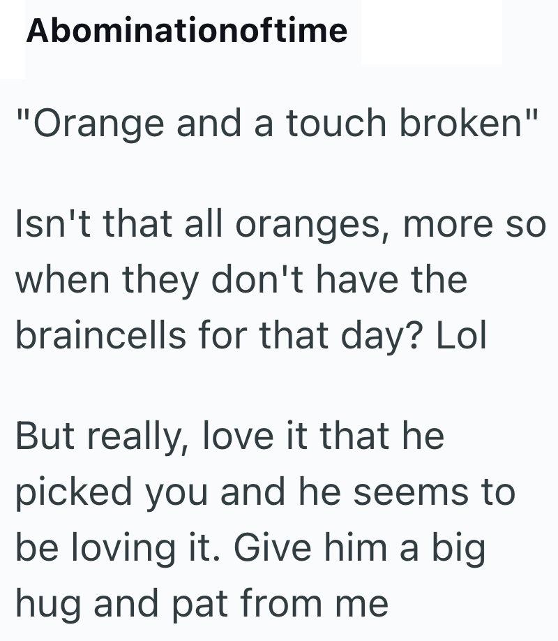 Abominationoftime "Orange and a touch broken" Isn't that all oranges, more so when they don't have the braincells for that day? Lol But really, love it that he picked you and he seems to be loving it. Give him a big hug and pat from me