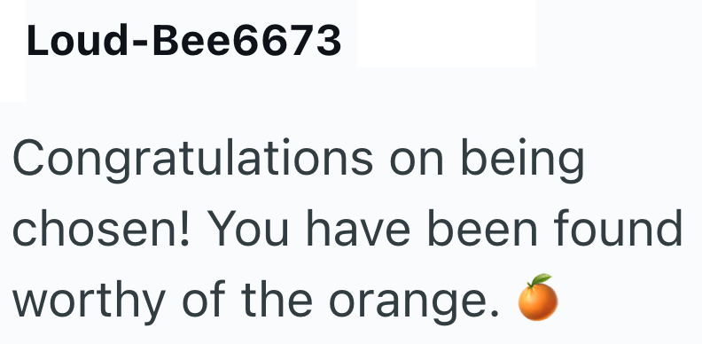 Loud-Bee6673 Congratulations on being chosen! You have been found worthy of the orange.