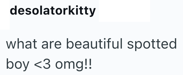 desolatorkitty what are beautiful spotted boy <3 omg!!