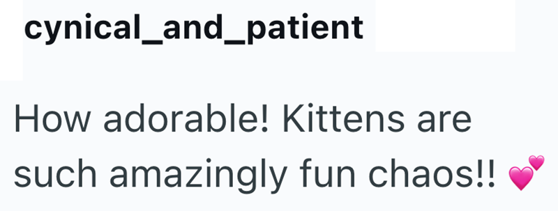 cynical_and_patient How adorable! Kittens are such amazingly fun chaos!!