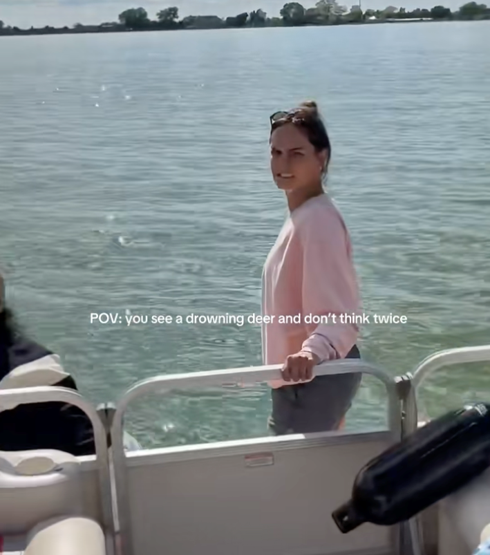 Friends on a boat notice a deer struggling to swim in the middle of a freezing lake, so they don't hesitate to jump in and pull her aboard to safety