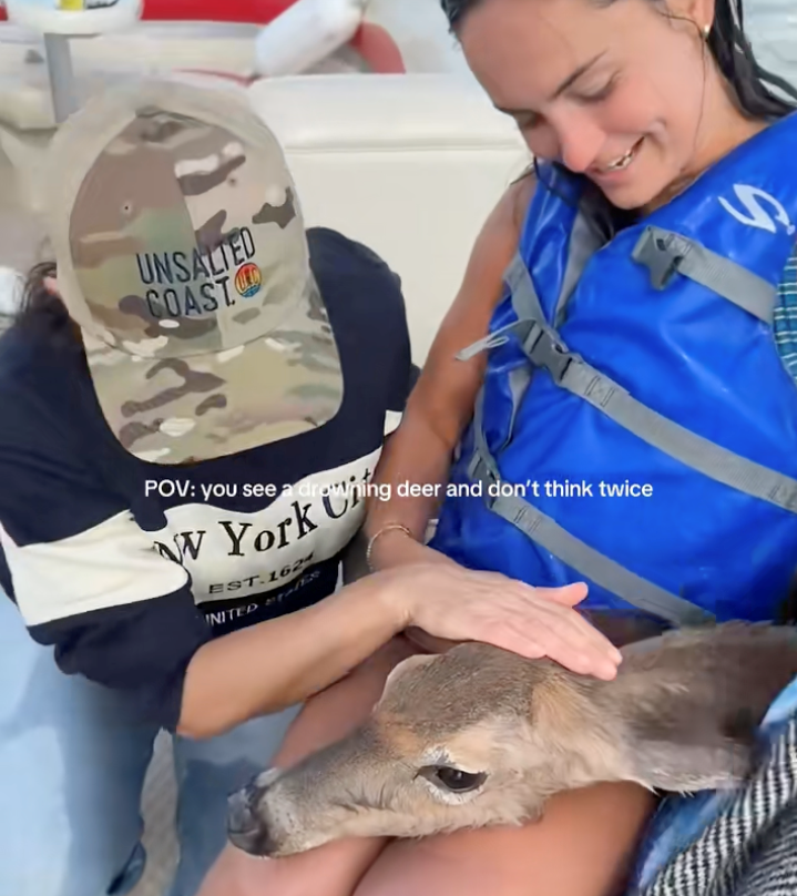 Friends on a boat notice a deer struggling to swim in the middle of a freezing lake, so they don't hesitate to jump in and pull her aboard to safety