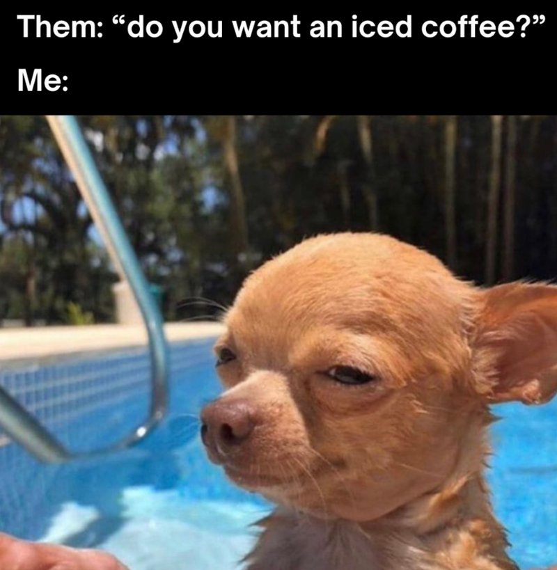 Them: "do you want an iced coffee?” Me: