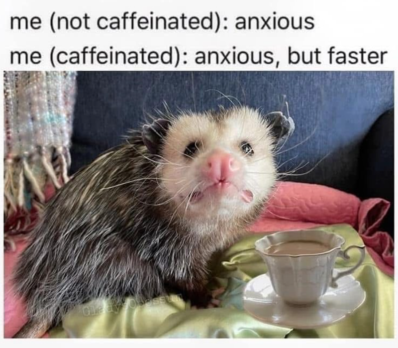 me (not caffeinated): anxious me (caffeinated): anxious, but faster