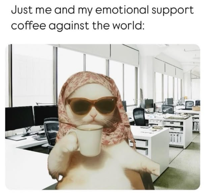 Just me and my emotional support coffee against the world: