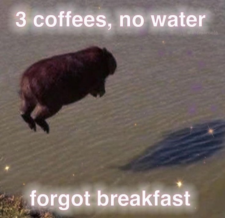 3 coffees, no water @momorcela forgot breakfast