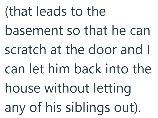 (that leads to the basement so that he can scratch at the door and I can let him back into the house without letting any of his siblings out).