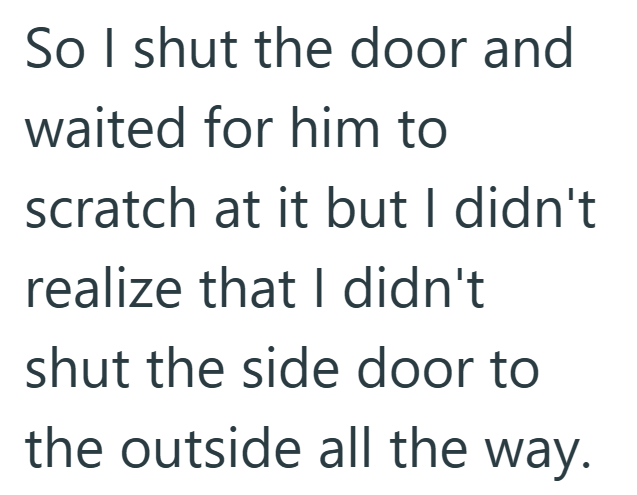 So I shut the door and waited for him to scratch at it but I didn't realize that I didn't shut the side door to the outside all the way.