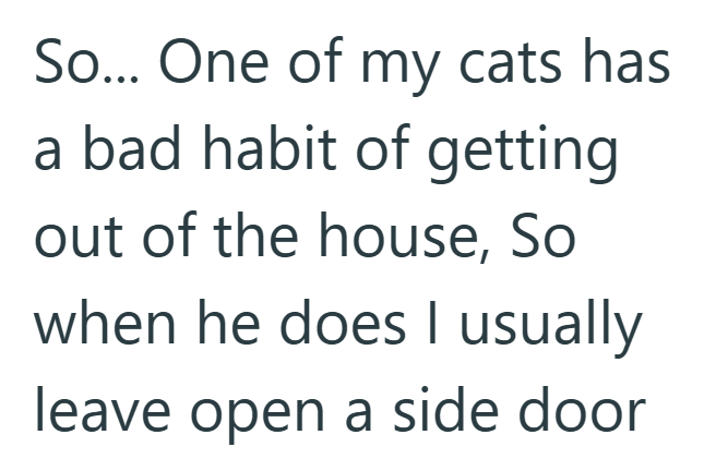So... One of my cats has a bad habit of getting out of the house, So when he does I usually leave open a side door