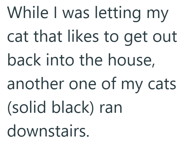 While I was letting my cat that likes to get out back into the house, another one of my cats (solid black) ran downstairs.