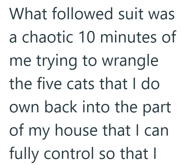 What followed suit was a chaotic 10 minutes of me trying to wrangle the five cats that I do own back into the part of my house that I can fully control so that I