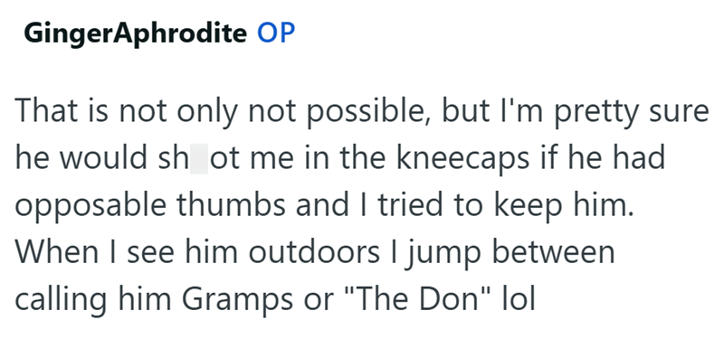 GingerAphrodite OP That is not only not possible, but I'm pretty sure he would shot me in the kneecaps if he had opposable thumbs and I tried to keep him. When I see him outdoors I jump between calling him Gramps or "The Don" lol