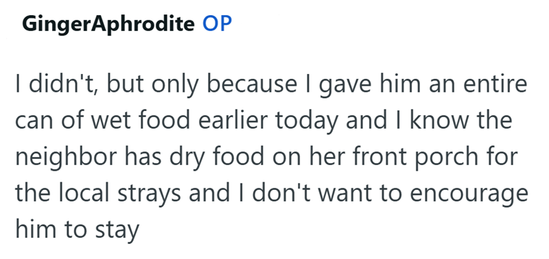 GingerAphrodite OP I didn't, but only because I gave him an entire can of wet food earlier today and I know the neighbor has dry food on her front porch for the local strays and I don't want to encourage him to stay