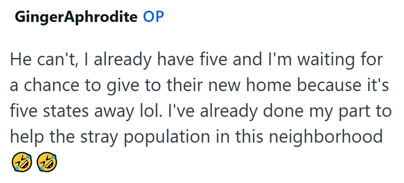 GingerAphrodite OP He can't, I already have five and I'm waiting for a chance to give to their new home because it's five states away lol. I've already done my part to help the stray population in this neighborhood