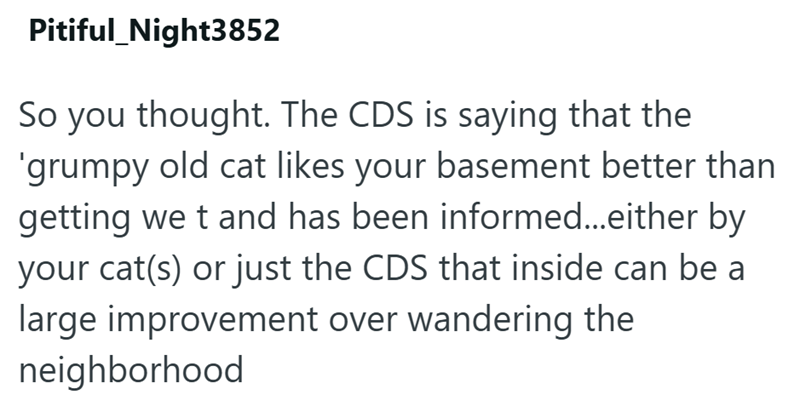 Pitiful Night3852 So you thought. The CDS is saying that the 'grumpy old cat likes your basement better than getting wet and has been informed...either by your cat(s) or just the CDS that inside can be a large improvement over wandering the neighborhood
