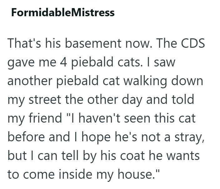 FormidableMistress That's his basement now. The CDS gave me 4 piebald cats. I saw another piebald cat walking down my street the other day and told my friend "I haven't seen this cat before and I hope he's not a stray, but I can tell by his coat he wants to come inside my house."