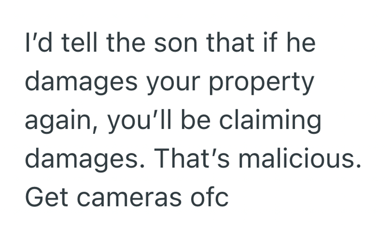 I'd tell the son that if he damages your property again, you'll be claiming damages. That's malicious. Get cameras ofc