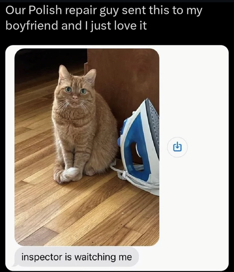 Our Polish repair guy sent this to my boyfriend and I just love it inspector is waitching me G