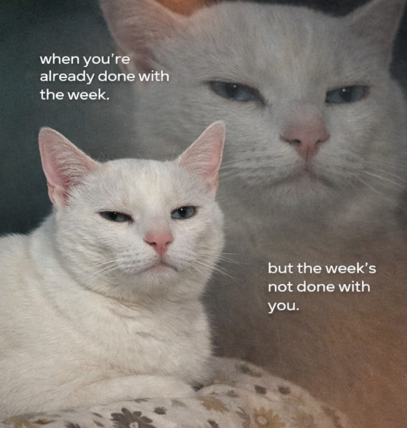 when you're already done with the week. but the week's not done with you.