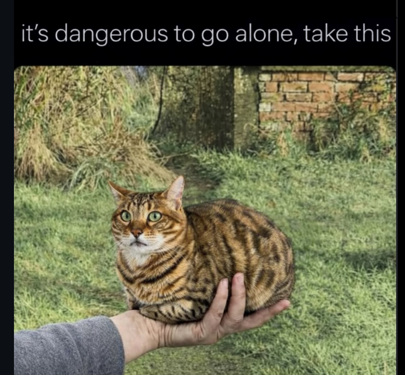 it's dangerous to go alone, take this