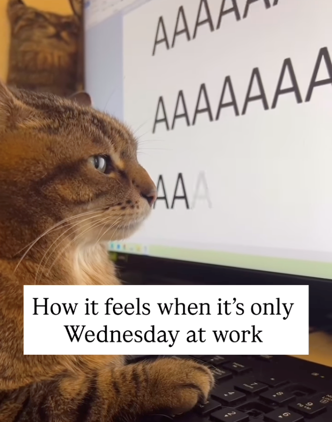 200 AAA AAAAAAA AAA How it feels when it's only Wednesday at work 21 69 9 82