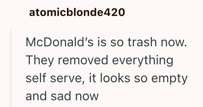 atomicblonde420 McDonald's is so trash now. They removed everything self serve, it looks so empty and sad now