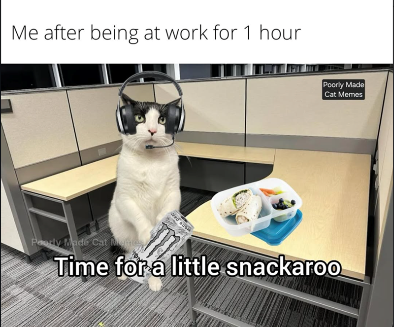 Me after being at work for 1 hour ZERO SUGAR Poorly Made Cat Memes Poorly Made Cat Memes Time for a little snackaroo