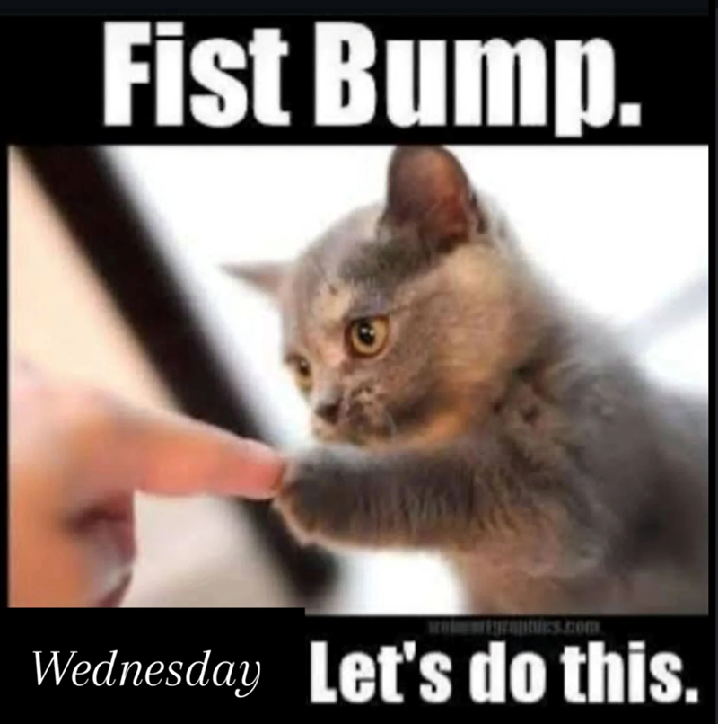 Fist Bump. Wednesday Let's do this.
