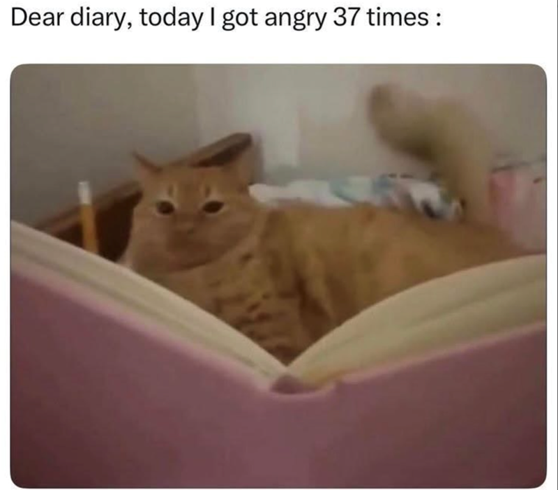 Dear diary, today I got angry 37 times: