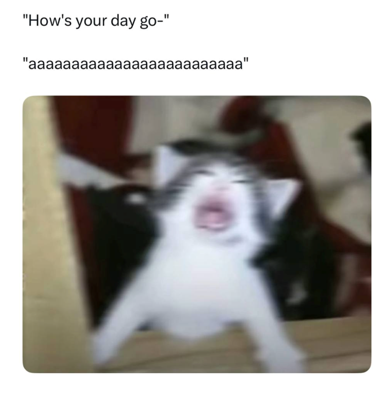 "How's your day go-" "aaaaaaaaaaaaaaaaaaaaaaaaa"