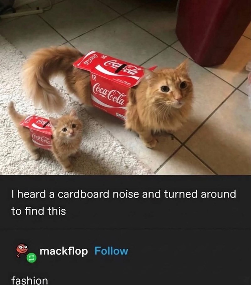 4575) NEET 12 Coca Cola Coca-Cola BROG Coca-Cola I heard a cardboard noise and turned around to find this mackflop Follow fashion