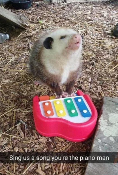 8888 Sing us a song you're the piano