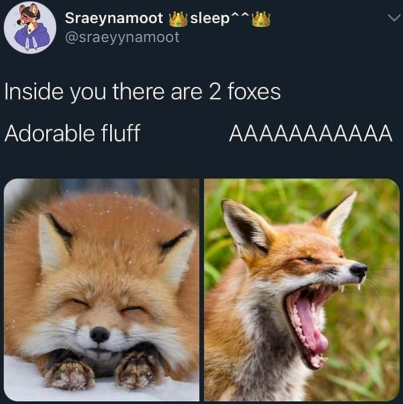 Sraeynamoot sleep^^ @sraeyynamoot Inside you there are 2 foxes Adorable fluff AAAAAAAAAAA