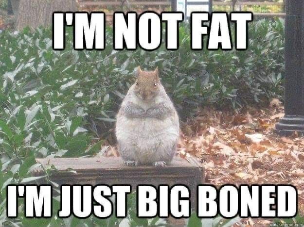 I'M NOT FAT I'M JUST BIG BONED quickmeme.com