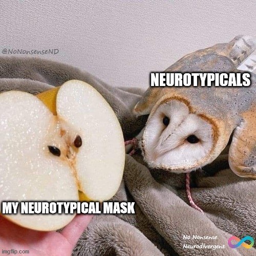 @NoNonsenseND MY NEUROTYPICAL MASK imgflip.com NEUROTYPICALS No Nonsense Neurodivergent