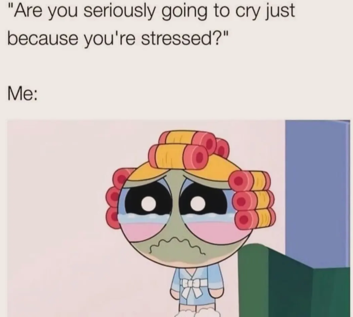 "Are you seriously going to cry just because you're stressed?" Me: 理