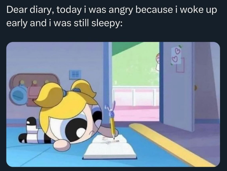 Dear diary, today i was angry because i woke up early and i was still sleepy: