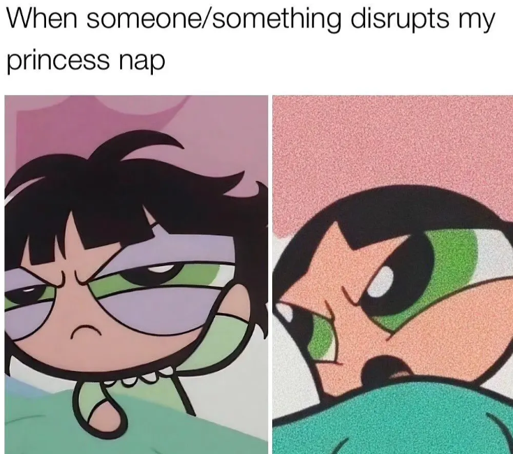 When someone/something disrupts my princess nap