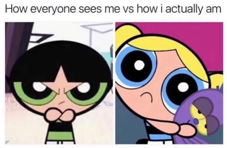 How everyone sees me vs how i actually am