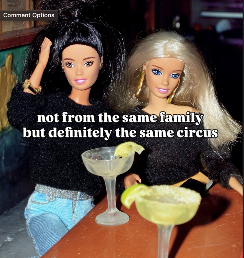 Comment Options not from the same family but definitely the same circus