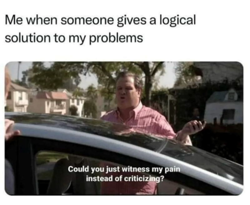Me when someone gives a logical solution to my problems ну Could you just witness my pain instead of criticizing?