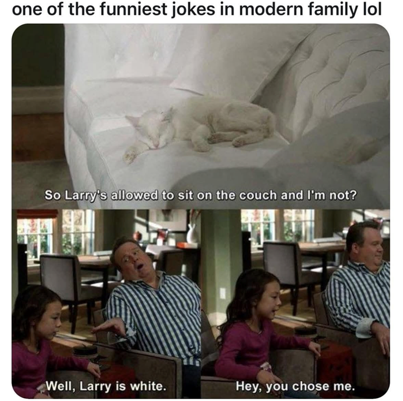one of the funniest jokes in modern family lol So Larry's allowed to sit on the couch and I'm not? Well, Larry is white. Hey, you chose me.
