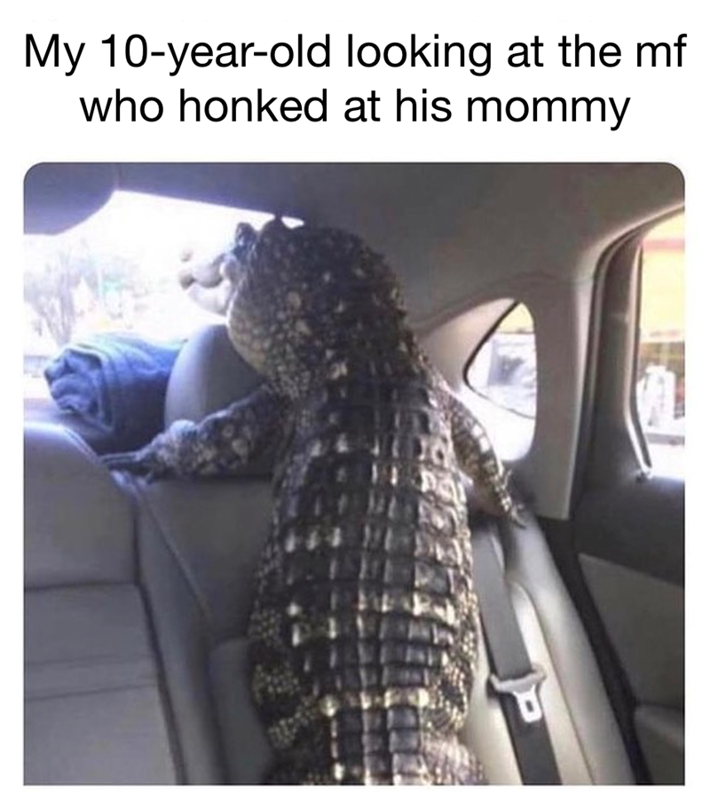 My 10-year-old looking at the mf who honked at his mommy