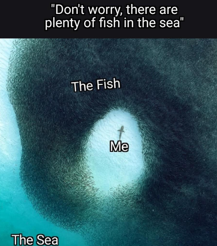 "Don't worry, there are plenty of fish in the sea" The Sea The Fish Me